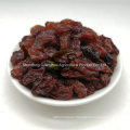 Hot Sale Golden Raisin Red Raisin Green Raisin Natural Taste